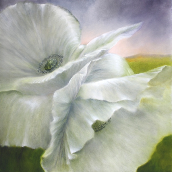 painting of white poppies