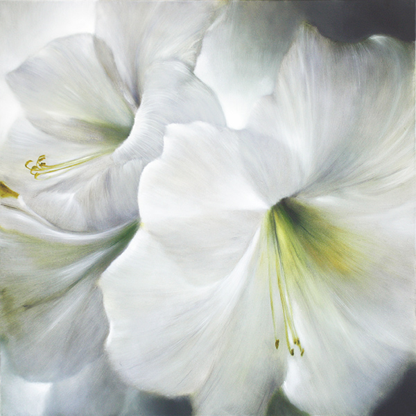 painting of white amaryllis
